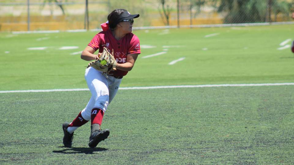 JUGARÁN SIETE SONORENSES EN LA   LIGA MEXICANA DE SOFTBOL FEMENIL